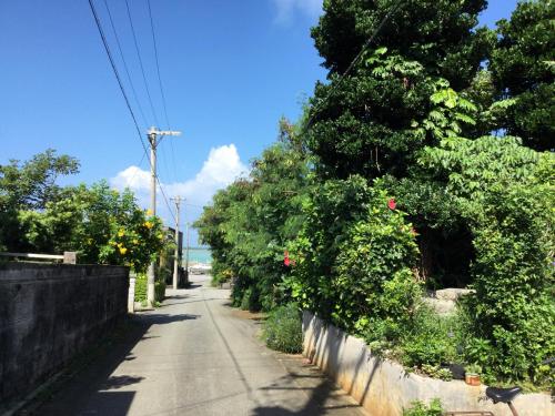 an empty street with trees and flowers on the side at Seaside House Nirai in Miyako Island