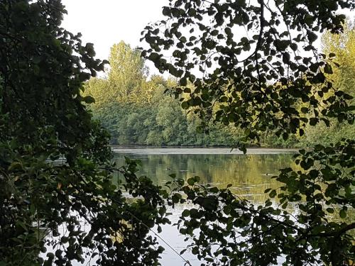 a view of a river through the trees at Ibis Château-Thierry in Essômes-sur-Marne