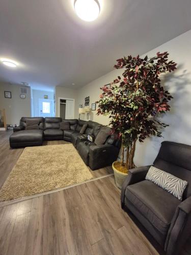 een woonkamer met een zwarte bank en een boom bij Comfort Tenacity in Yellowknife