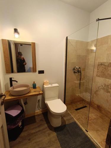 ein Badezimmer mit Toilette, Waschbecken und Dusche in der Unterkunft La Canton in Adunaţi
