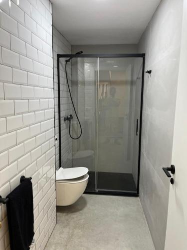 a bathroom with a glass shower and a toilet at Les Cases de Laia in Bocairent