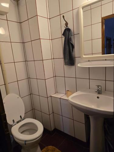 a bathroom with a toilet and a sink at AARON Apartament in Craiova