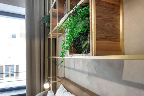 a wall with a shelf with plants on it at Benci House in Florence