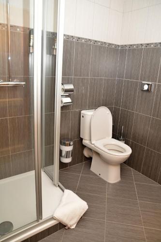 a bathroom with a toilet and a shower at Hotel Na Statku in Nepřevázka