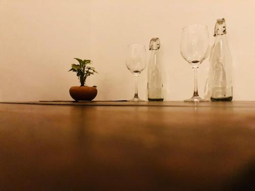 Nápoje v ubytování Hiriketiya Green Haven Villa