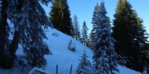 LaVida Star im Winter