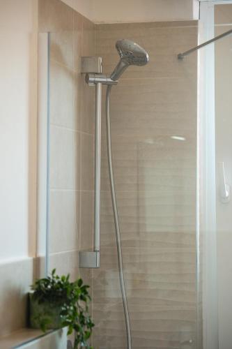 a shower with a shower head in a bathroom at Perla Marina Apartments in Pietra Ligure