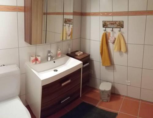 a bathroom with a sink and a toilet at Rustico La Stalla di Adele in Cevio