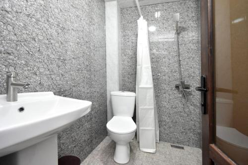 a bathroom with a toilet and a sink and a shower at Near the airport in Zvartnots International Airport