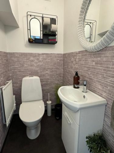 a bathroom with a toilet and a sink and a mirror at Emil hemma in Järnforsen