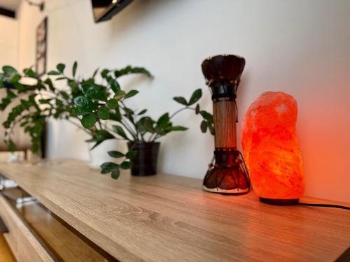 a wooden table with two bottles and plants on it at Jacuzzi & Parking Piernikowy Spa Apartment by Rentoom in Toruń