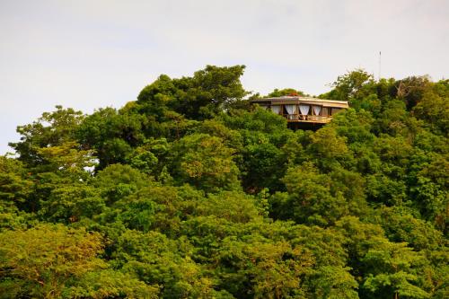 a building on the top of a tree at NoaNoa Private Island in Taytay