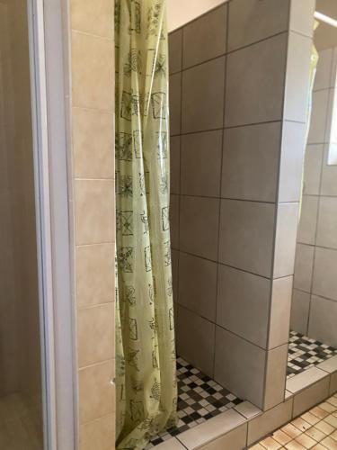 德班Peaceful home in tranquil setting的浴室里有带浴帘的淋浴间