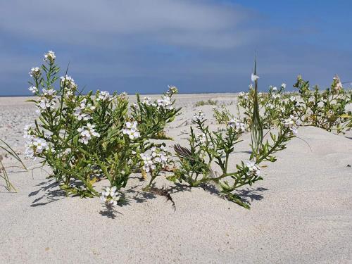 Φυσικό τοπίο κοντά σε αυτή η παραθεριστική κατοικία