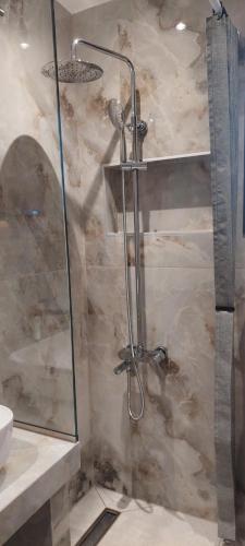 a shower in a bathroom with a glass door at Matin's cozy nest in Tríkala