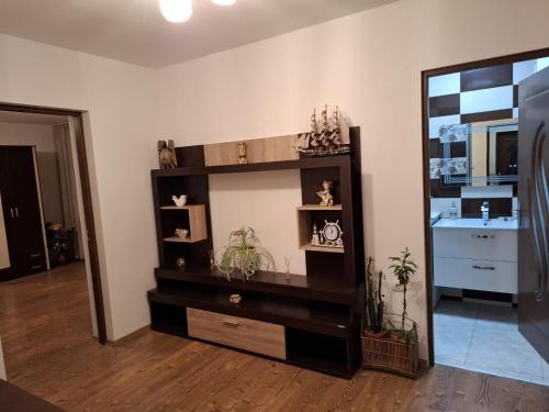 Η κουζίνα ή μικρή κουζίνα στο Casa Szabo Vata Bai