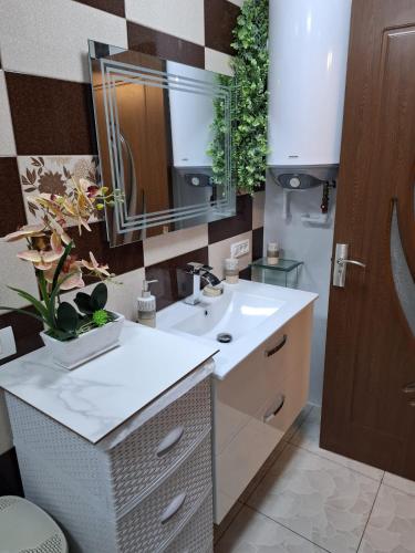 a bathroom with a sink and a mirror at Casa Szabo Vata Bai in Vaţa de Jos