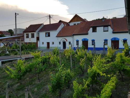 Zahrada ubytování Apartmán u Révy