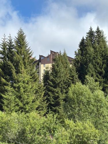 المناظر الطبيعية بالقرب من الشقة