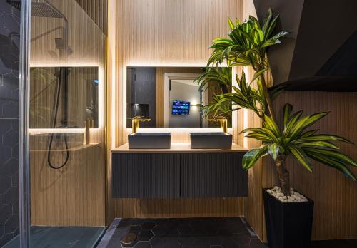 Un baño con lavabo y ducha y una planta. en ººIM La Latina-City Centre-WiFi-AC-SmartTVºº, en Madrid