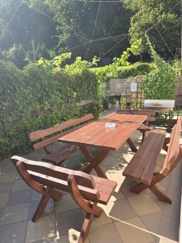 Κήπος έξω από το Villa Radunia