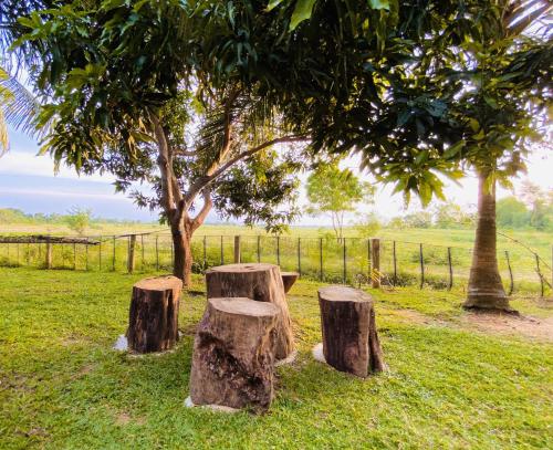 Dairy Farm Cottage Weerawila外面的花园