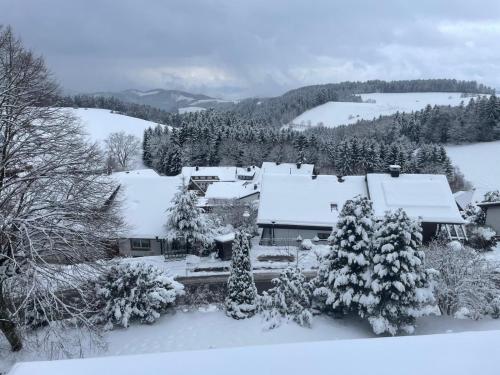 Το Alpina Löwen Hotel τον χειμώνα