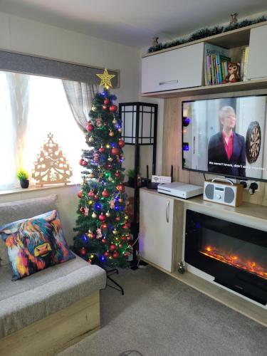 TV a/nebo společenská místnost v ubytování 61 St Andrew's 3 bedroom Cozy Caravan near Edinburgh Seton Sands Holiday Village