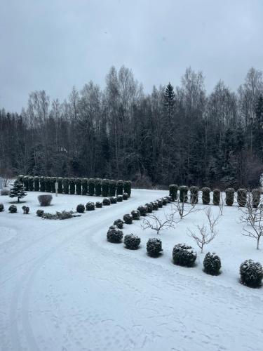 un jardin recouvert de neige avec des buissons et des arbres dans l'établissement KRI Holiday House, à Alūksne