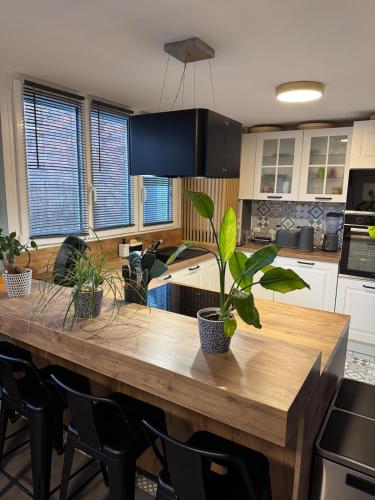 Loft Opale في كاليه: مطبخ به طاولة خشبية عليها نباتات