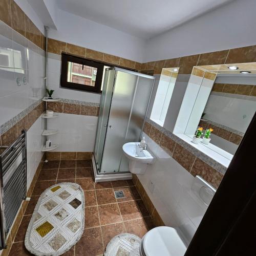 a bathroom with a shower and a toilet and a sink at Lovely apartment in Craiova