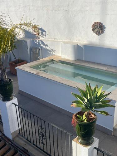 a swimming pool with potted plants on a patio at VAC LUXURY HOME SEVILLA in Seville