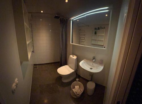 サレンにあるGula Byn 410 Cの白いトイレと洗面台のあるバスルーム