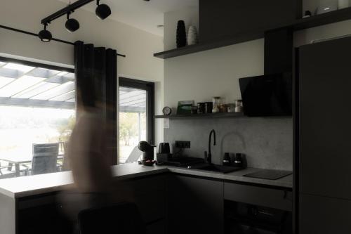 Kuchyň nebo kuchyňský kout v ubytování Laumiņas