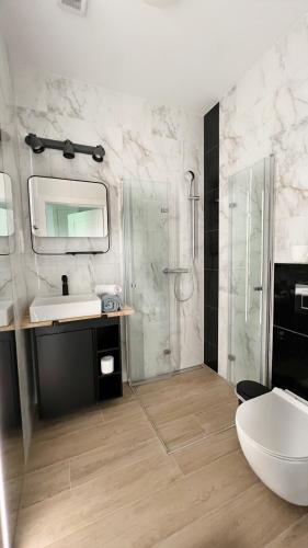 a bathroom with a sink and a shower and a mirror at Studio Kopernika 10 in Frombork