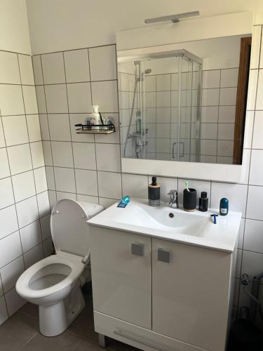 a bathroom with a toilet and a sink and a mirror at Charmante petite maison provençale in Grasse