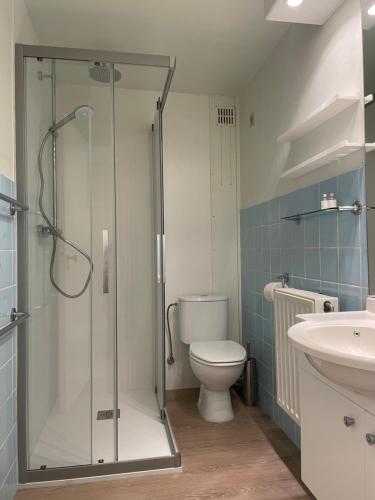 een badkamer met een douche, een toilet en een wastafel bij Zonnige studio Mermoz Koksijde-Bad in Koksijde