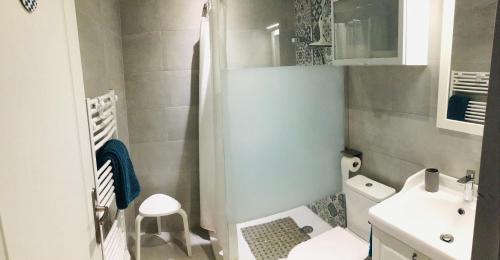 een kleine badkamer met toilet en wastafel bij Entre Mer et Montagnes in Céret