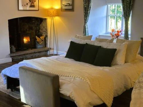 une chambre avec un grand lit et une cheminée dans l'établissement The Cottage at Sychnant Farm, à Talgarth