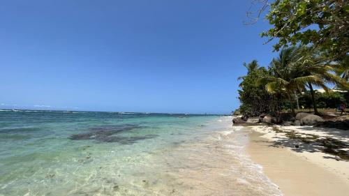 Φυσικό τοπίο κοντά σε αυτό το διαμέρισμα
