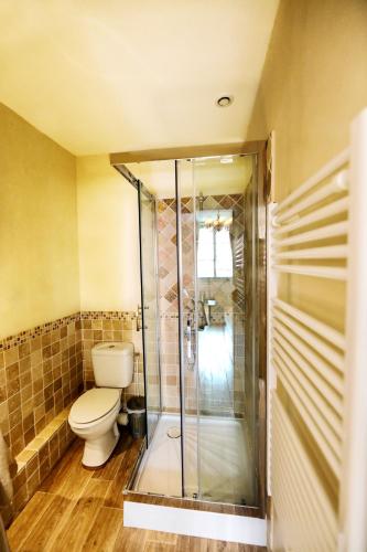 a bathroom with a toilet and a glass shower at L'Aristoloche in Salins-les-Bains