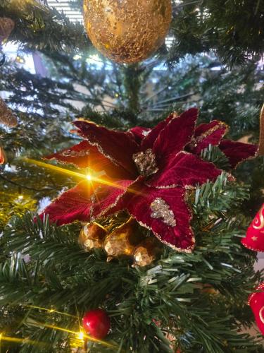 Fotografie z fotogalerie ubytování Αρχοντικό Παπανικολάου v destinaci Lygariá