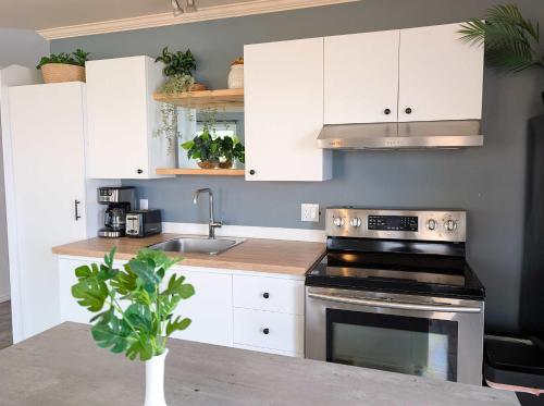 Η κουζίνα ή μικρή κουζίνα στο Chalet for 7 people - Waterfront - Spa - Fireplace