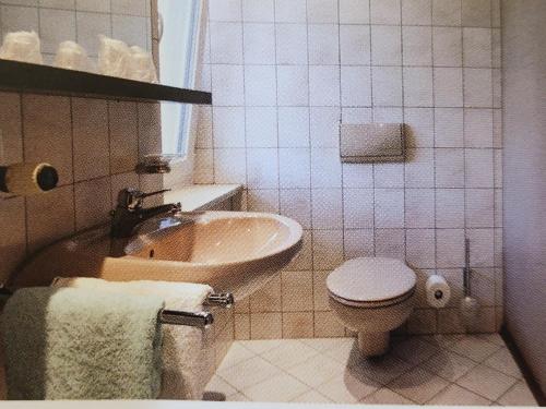 ein weißes Badezimmer mit Toilette und Waschbecken in der Unterkunft Landhaus Auhirsch in Böbrach