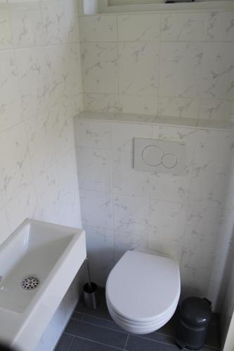 a white bathroom with a toilet and a sink at Hoge achterom in Den Hoorn