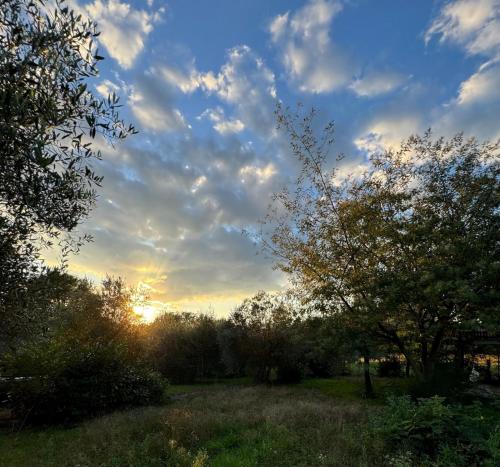 Φυσικό τοπίο κοντά σε αυτή η παραθεριστική κατοικία