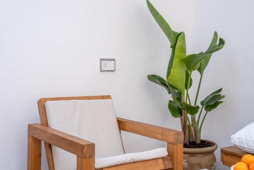 Φωτογραφία από το άλμπουμ του Meraki Home - Alle Spalle del Teatro Massimo στο Παλέρμο