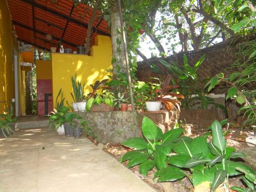 Zahrada ubytování Vatika House