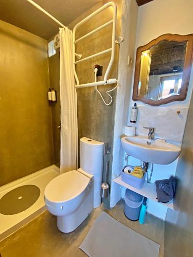 a bathroom with a toilet and a sink at Estúdio Charmoso no Coração das Termas in São Pedro do Sul