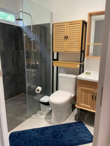 Un baño con inodoro y ducha de cristal. en HeiHana House, en Irioa